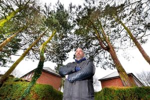 Bill Etheridge wants to see trees cut down in Sedgley