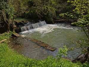 Supporting image for story: Remains of horse stuck in river for more than a month 'float downstream to new location'