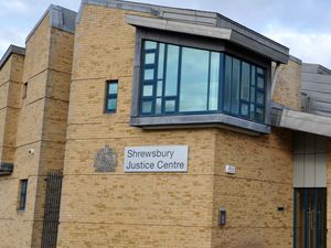 Supporting image for story: Telford text threats man ‘foolish and stupid’ 
