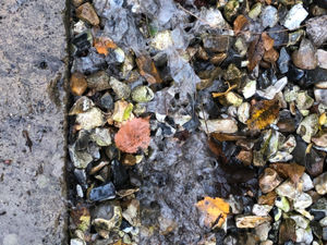 Supporting image for story: Couple fed up after decade of sewage and condoms washing into garden