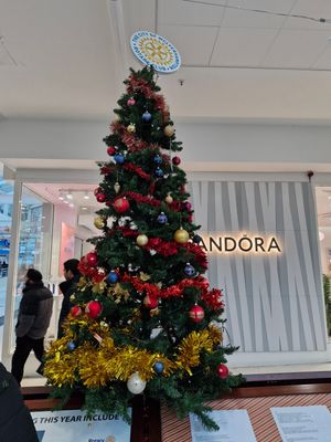 The tree will sit near the Dudley Street entrance of the Wulfrun Centre