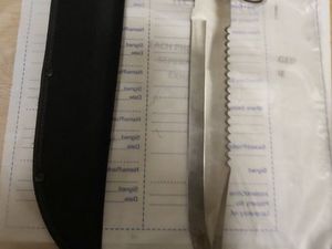 Supporting image for story: Teenager arrested after gang seen with knives in Bilston