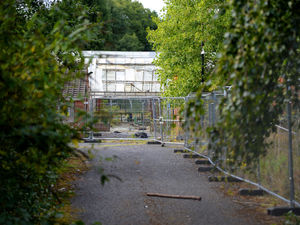 Supporting image for story: Candidate vows to oppose building on Wolverhampton Environment Centre site