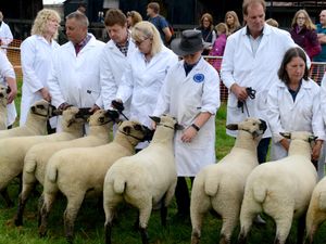 Supporting image for story: Crowds flock to Shropshire County Show - PICTURES 