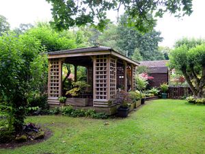 Supporting image for story: Vibrant gardens to open up as part of National Open Gardens Scheme