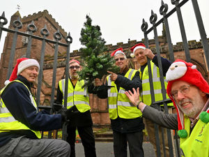 Supporting image for story: Loved ones remembered in Newport's annual Tree of Light appeal