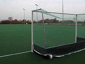 Supporting image for story: Olympic joy as club makes list