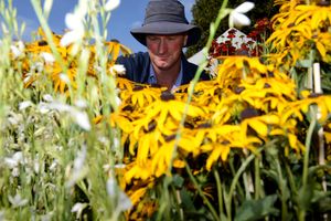 Barry Proctor from Proctors Nursery