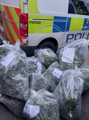 The drugs warrant was executed earlier today (March 19). 