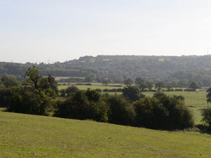 Supporting image for story: Seven Cornfields: Mayor urges councils to lay off the green belt