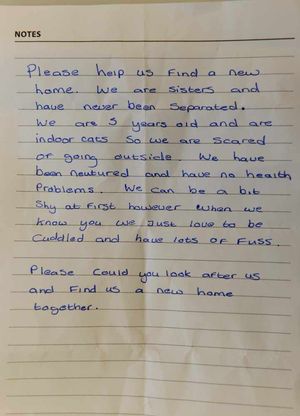 The letter which was left with the cats