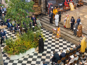 Supporting image for story: Trees of life dedicated at special remembrance service