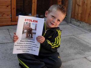 Supporting image for story: Puppy is stolen from home in Tipton