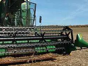 Supporting image for story: Ruling offers hope for harvest work