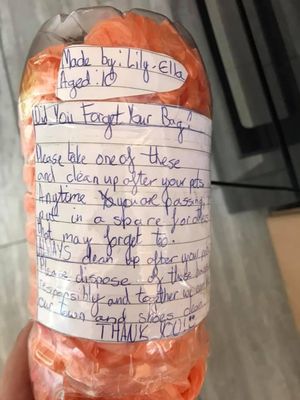 Lily-Ella Jennings, age 10, puts up her homemade dog poo bag dispensers