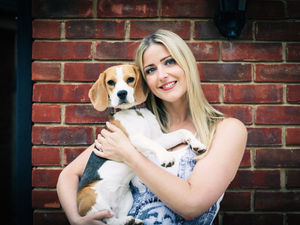 Supporting image for story: Dragons’ Den winner from Much Wenlock celebrates major supermarket listing for flourishing dog smoothie brand