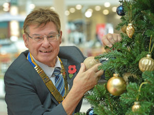 Supporting image for story: Wolverhampton's remembrance Christmas tree launches to raise money for good causes