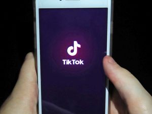 Supporting image for story: TikTok joins campaign to stop online wildlife trafficking