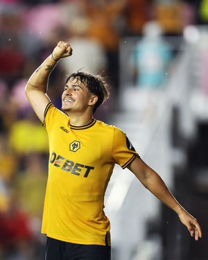 Supporting image for story