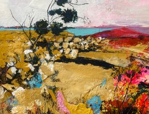 Sue Hayden's paintings are based on the relationship between texture, shape and light