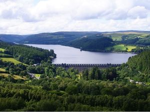 Supporting image for story: Winter woodland free event for families