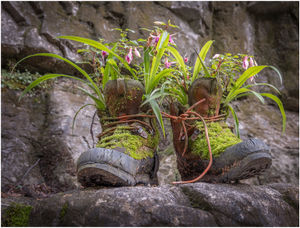 These Boots were made for ... by John Ridgway