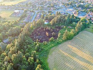 Supporting image for story: Fire crews tackle grass blazes