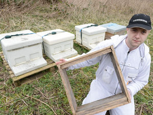 Supporting image for story: Telford beekeeper’s plea after hives are vandalised