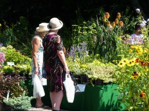 Supporting image for story: Bank holiday treat for plant lovers at the Dorothy Clive Garden