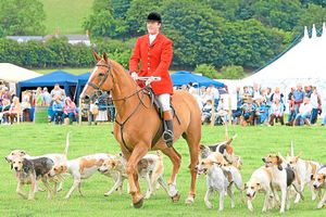 Hunting has been hit by the outbreak