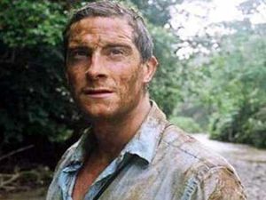 Supporting image for story: Wishing you a very apply Christmas