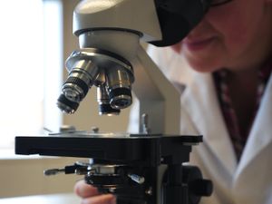 Supporting image for story: Overlooked DNA mutations ‘may increase bowel cancer patients’ survival chances’