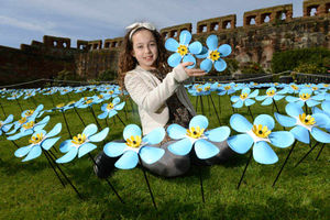 Supporting image for story: Pictures and video: Stunning sea of metal forget-me-nots at Shrewsbury Castle