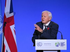 Supporting image for story: Sir David Attenborough stabbed by ‘dangerous’ cactus while filming new series