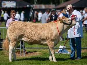 Supporting image for story: Tickets on sale for county show as countdown begins