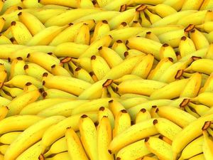 Supporting image for story: Mark Andrews: Maurizio shows how the Yanks are going bananas