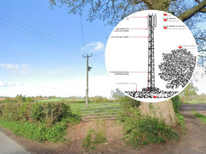Supporting image for story: New mobile phone mast near north Shropshire village is 'least worst option' to boost coverage