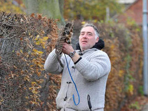 Supporting image for story: Owl man's joy at recovery