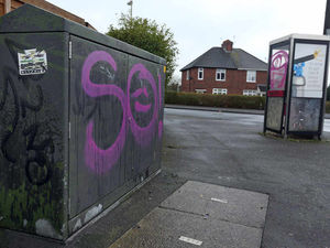 Supporting image for story: Vandals go on wrecking spree in Halesowen