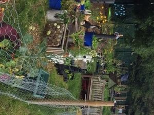Supporting image for story: Social farm project will teach valuable lessons