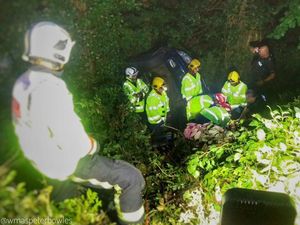 Supporting image for story: Driver escapes through sun roof as car falls 40 FOOT down Stourbridge bank
