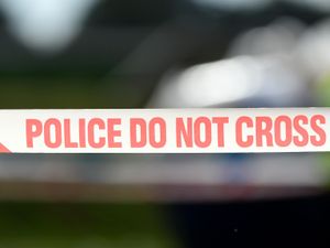 Supporting image for story