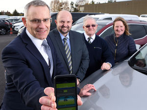 Supporting image for story: Greenhous Group embraces online platform