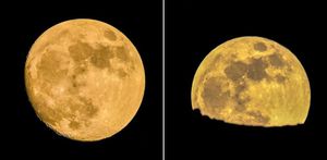 Photos by Lee Sloan from Telford 