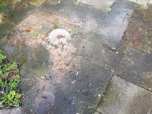 Supporting image for story: Family's 19-day sewage hell that 'stank house out' finally fixed by water firm