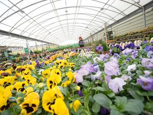 Supporting image for story: Gardening centre offering schools and communities support for their green spaces