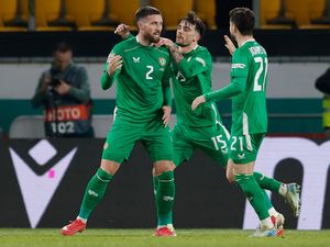 Ireland’s Matt Doherty celebrates after scoring the winner (Tony Uzunov/AP)