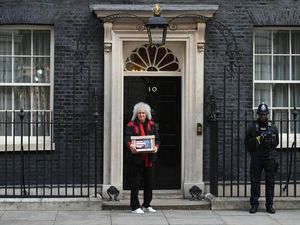 Supporting image for story