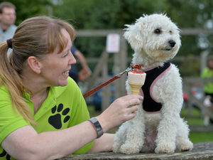 Supporting image for story: Coven dogs' home in open day