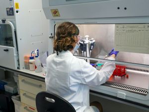 Supporting image for story